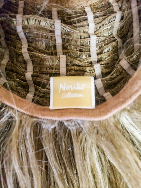 NORIKO JACKSON Modern Shag Wig w/ bangs added in the color Spring Honey EUC main image 8